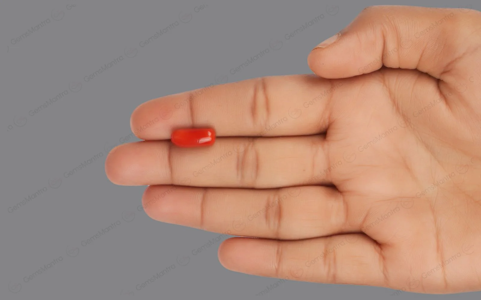 Red Coral - 4.58 Carats - Image 3
