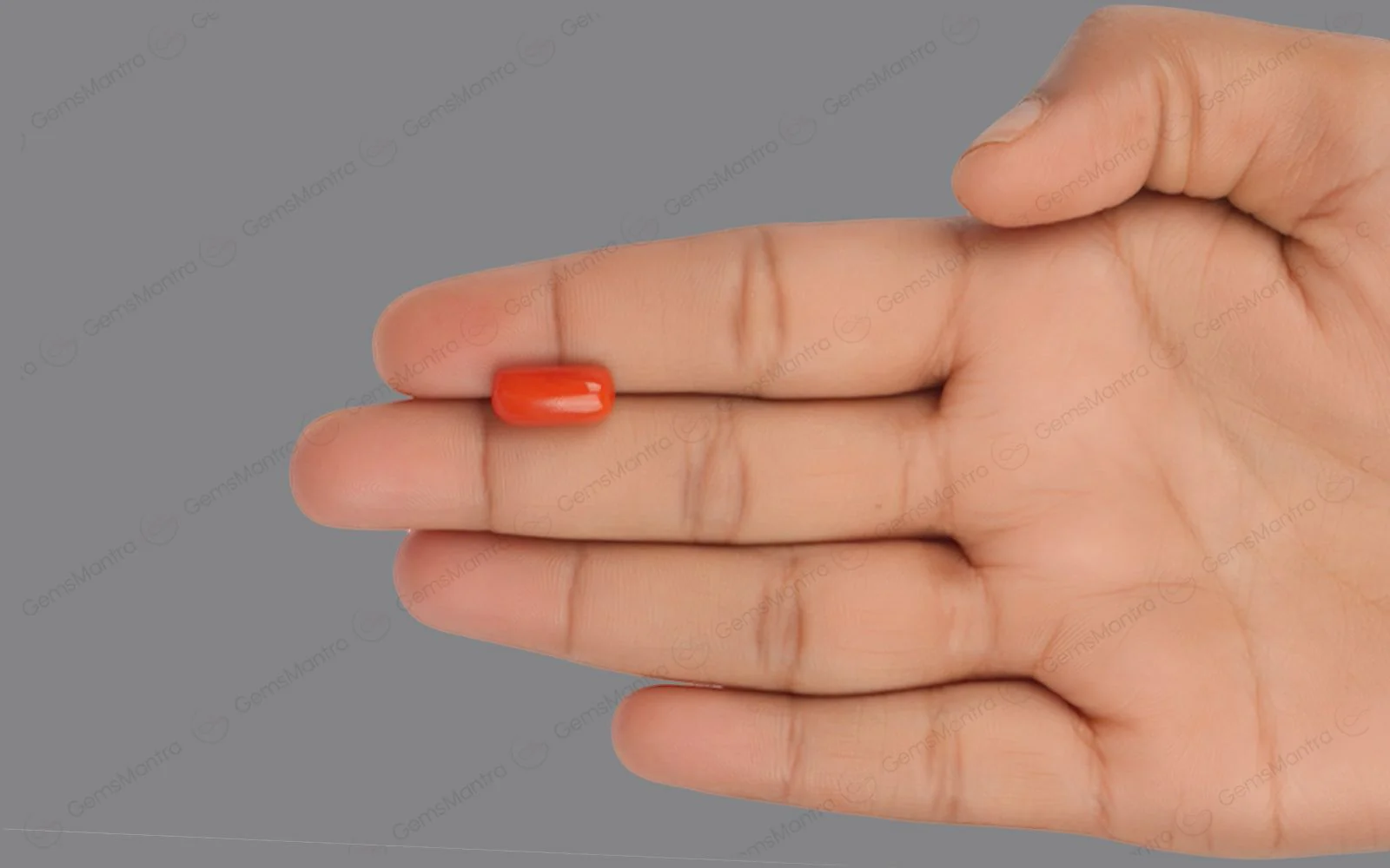 Red Coral - 4.64 Carats - Image 3