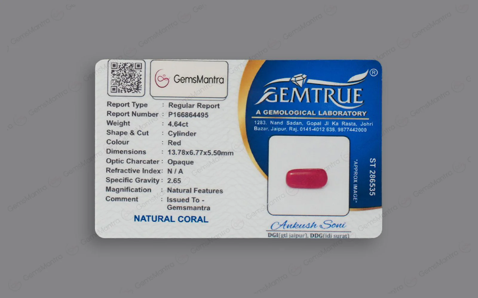 Red Coral - 4.64 Carats - Image 4