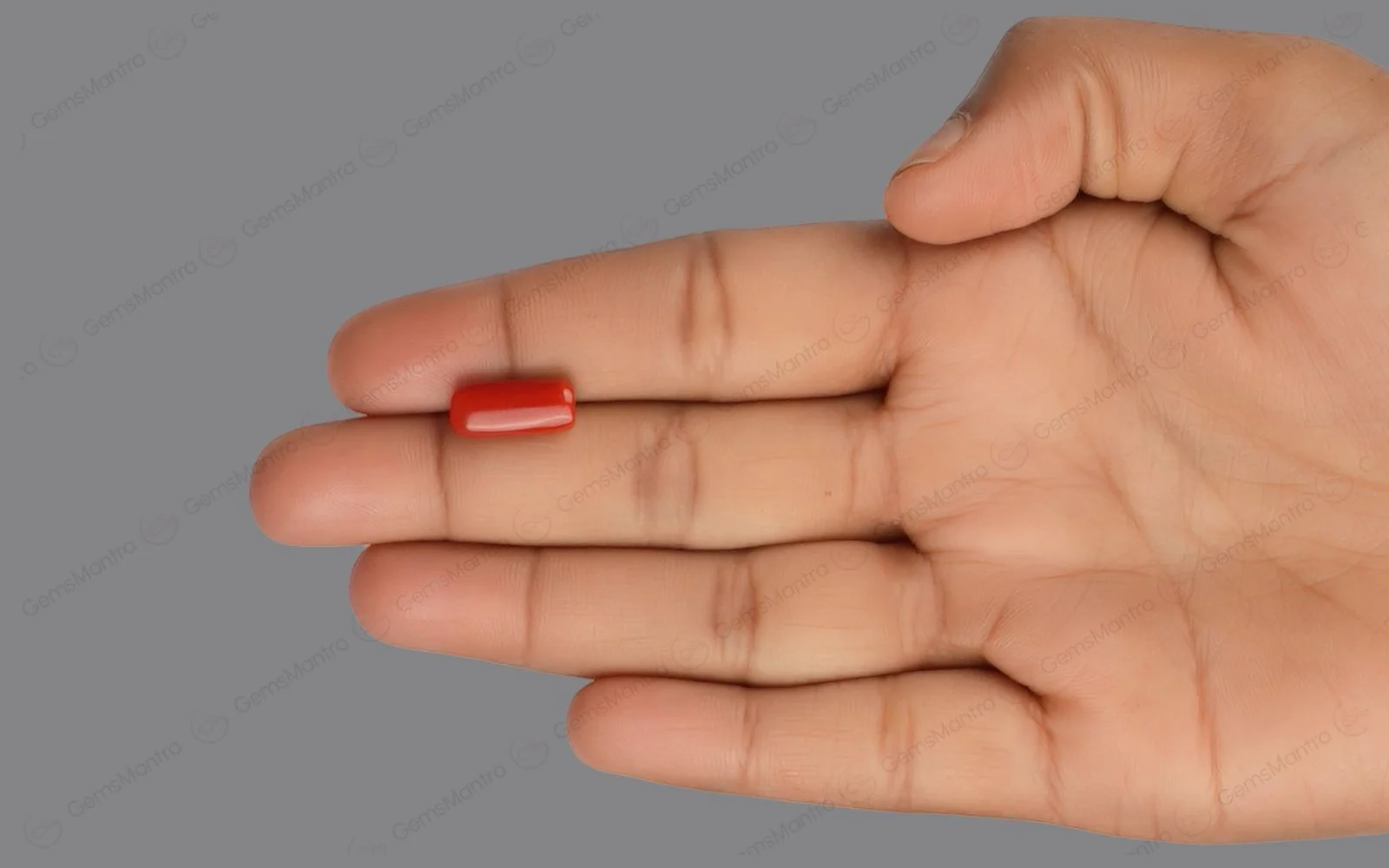 Red Coral - 4.75 Carats - Image 3