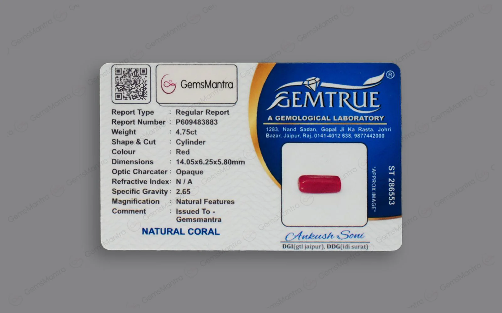 Red Coral - 4.75 Carats - Image 4