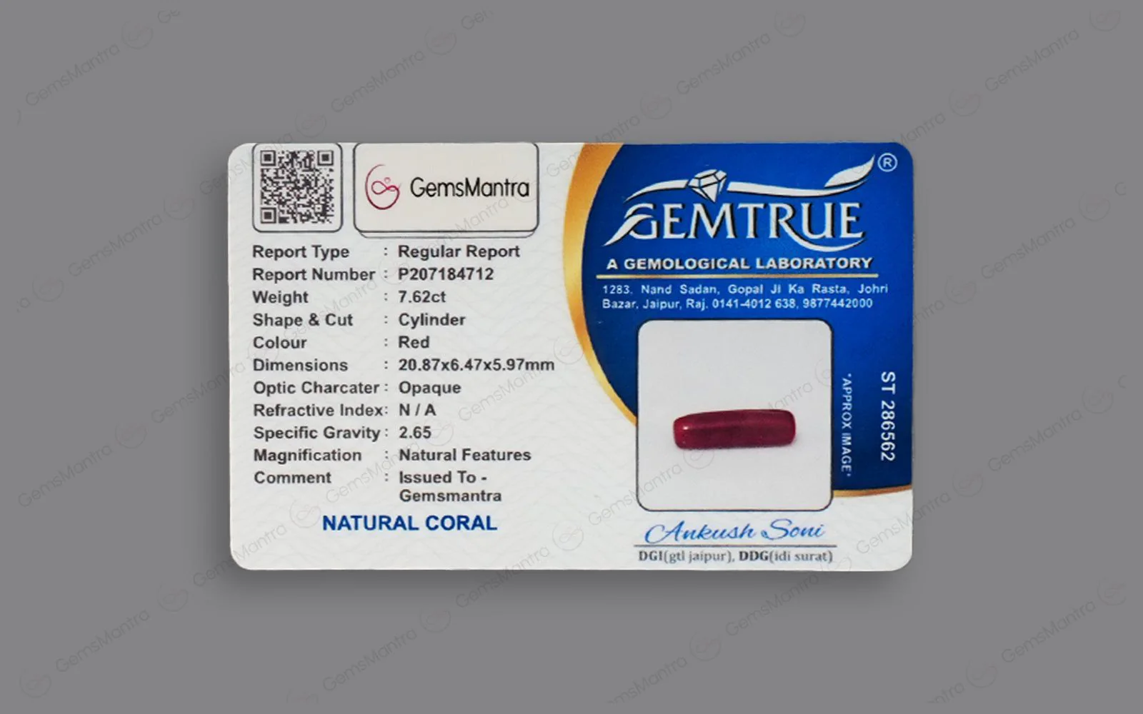 Red Coral - 7.62 Carats - Image 4