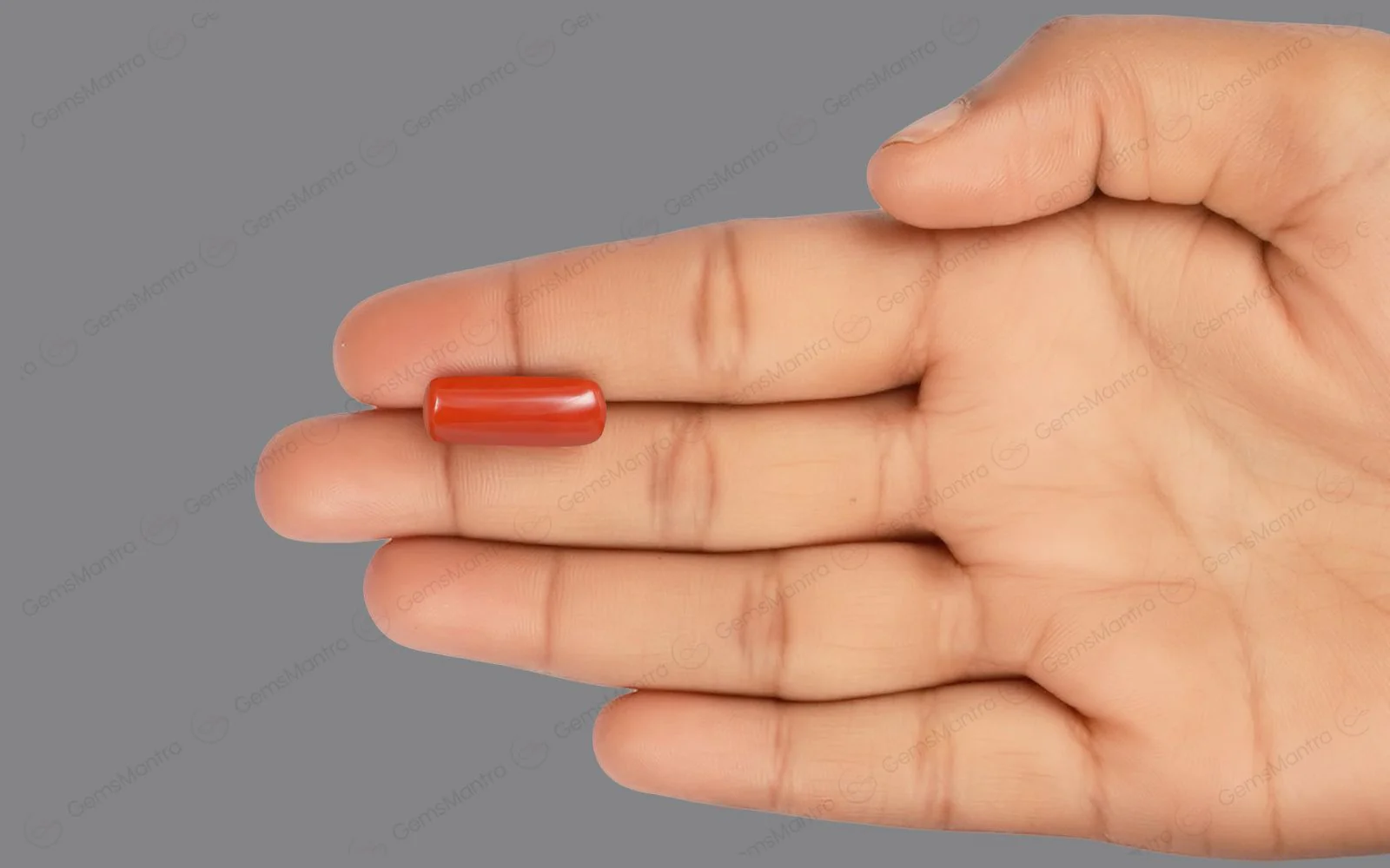 Red Coral - 8.59 Carats - Image 3
