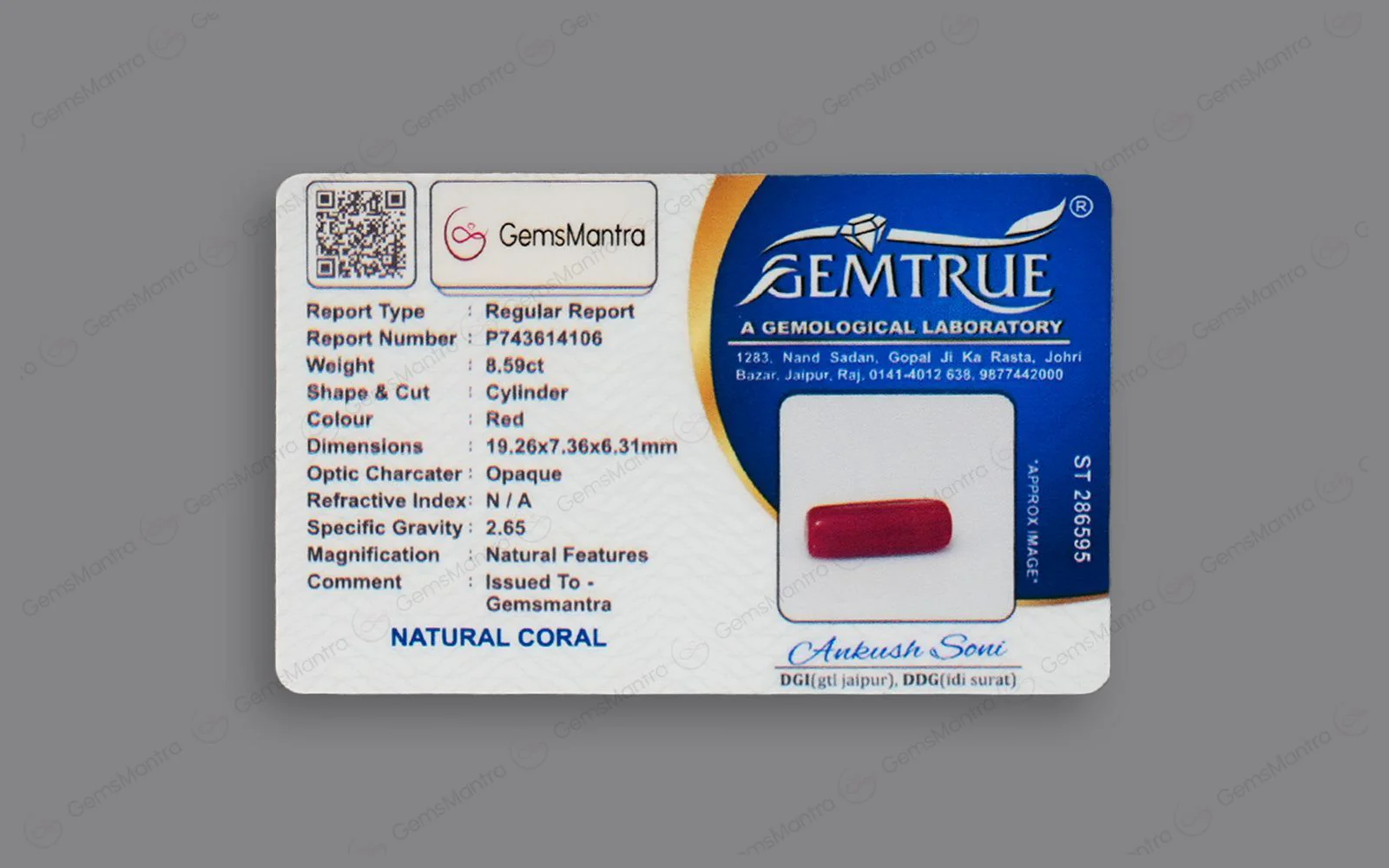 Red Coral - 8.59 Carats - Image 4