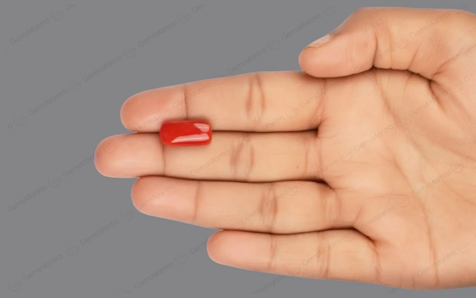 Red Coral - 8 Carats - Image 3