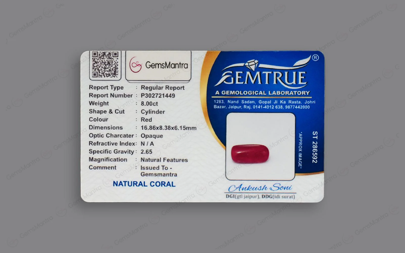 Red Coral - 8 Carats - Image 4