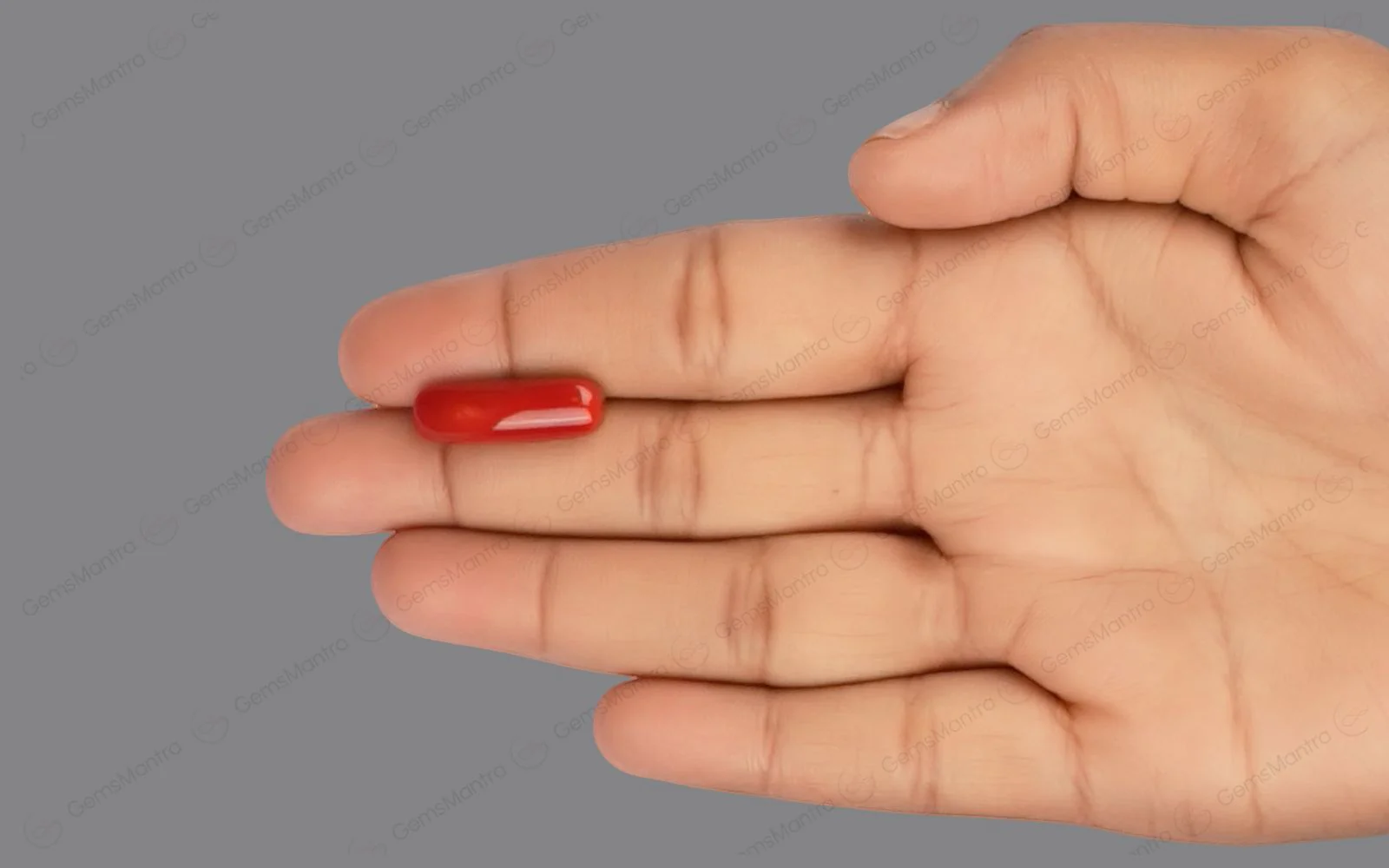 Red Coral - 8.31 Carats - Image 3