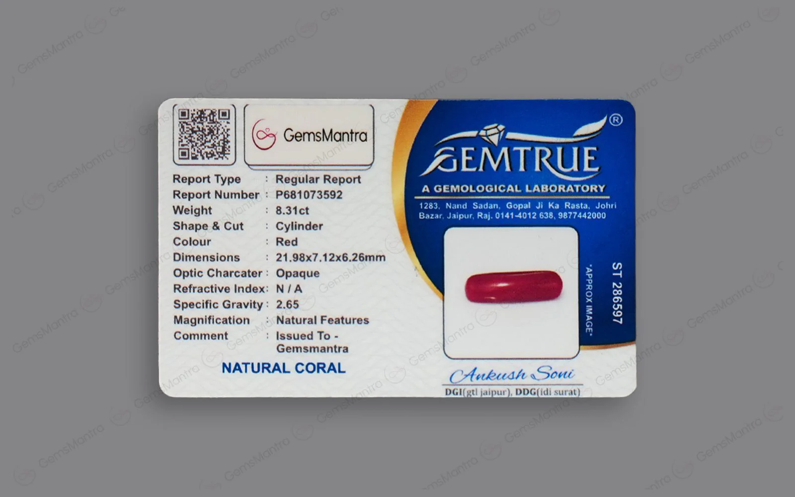 Red Coral - 8.31 Carats - Image 4