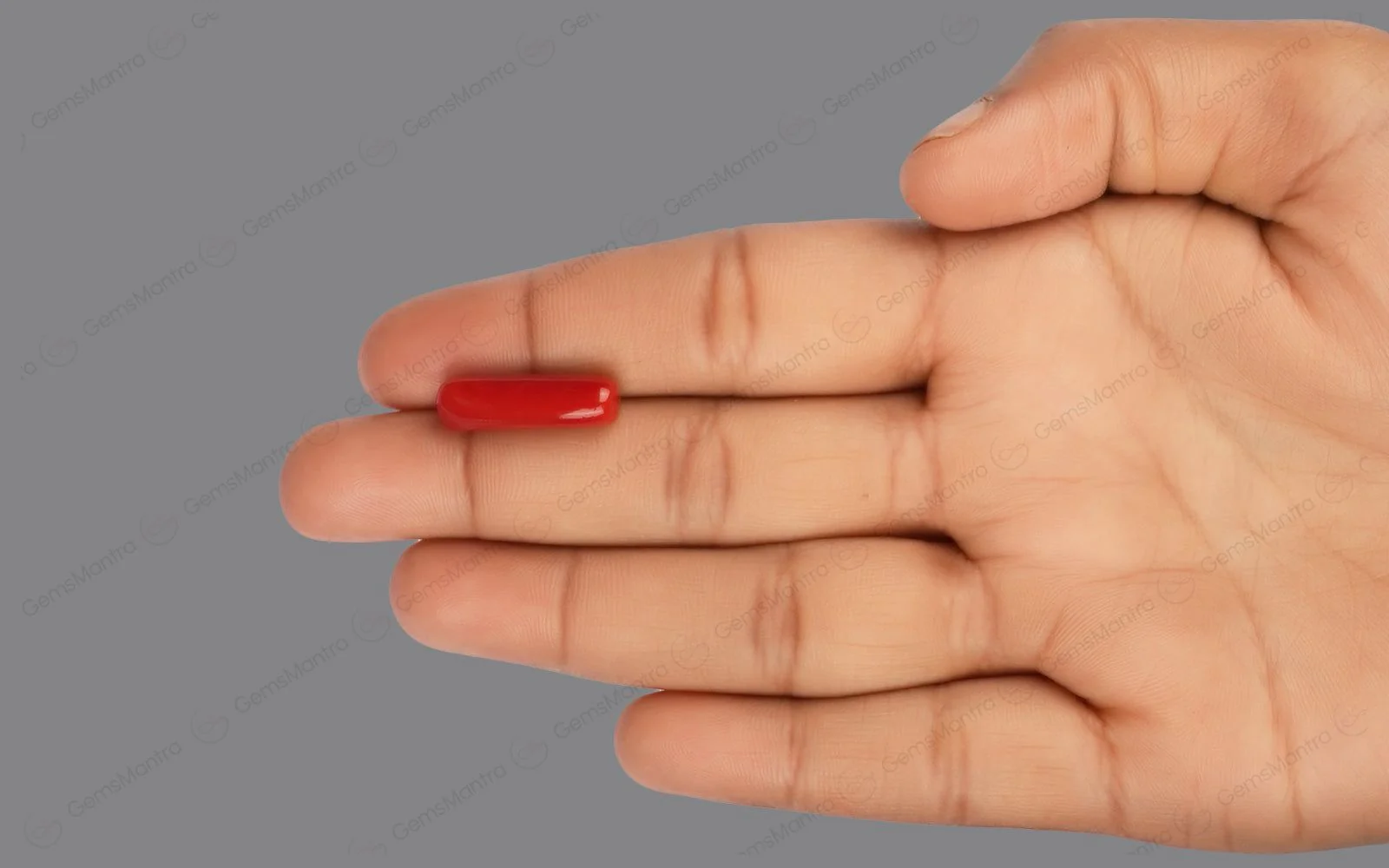 Red Coral - 8.35 Carats - Image 3