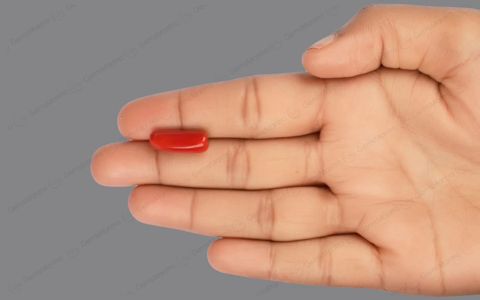 Red Coral - 8.08 Carats - Image 3