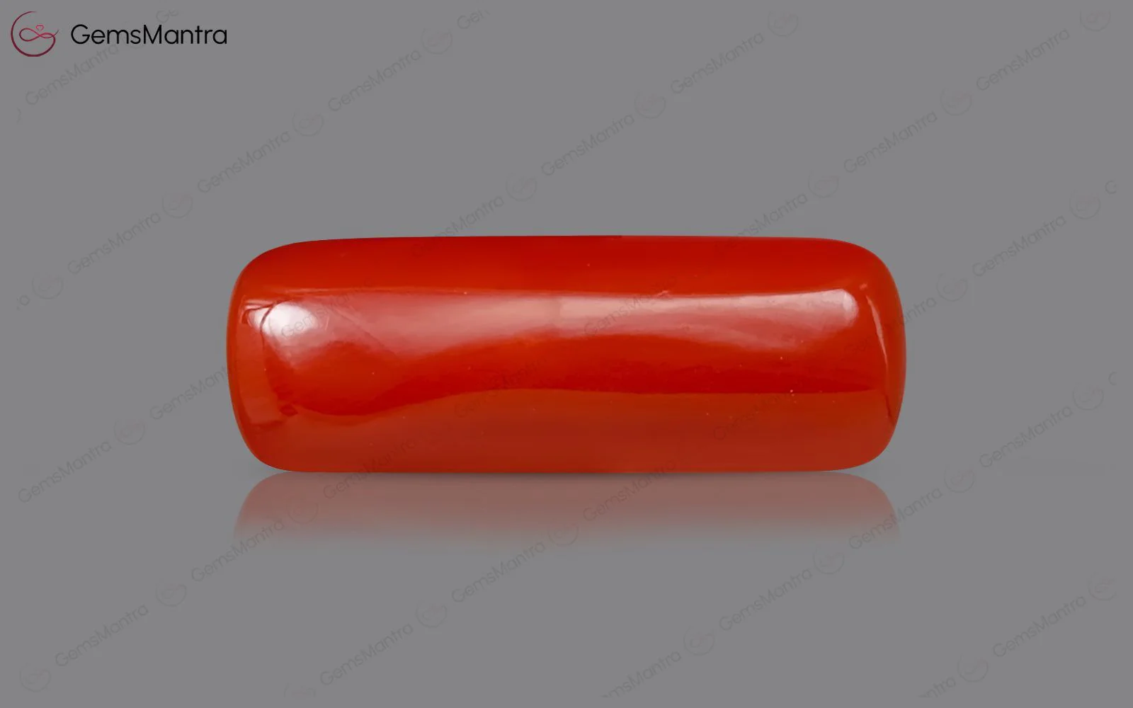 Red Coral - 8.15 Carats - Image 2