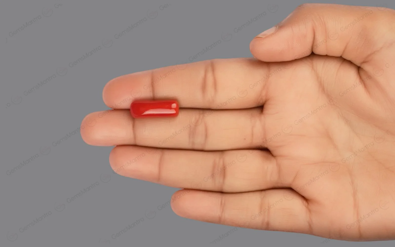 Red Coral - 8.15 Carats - Image 3