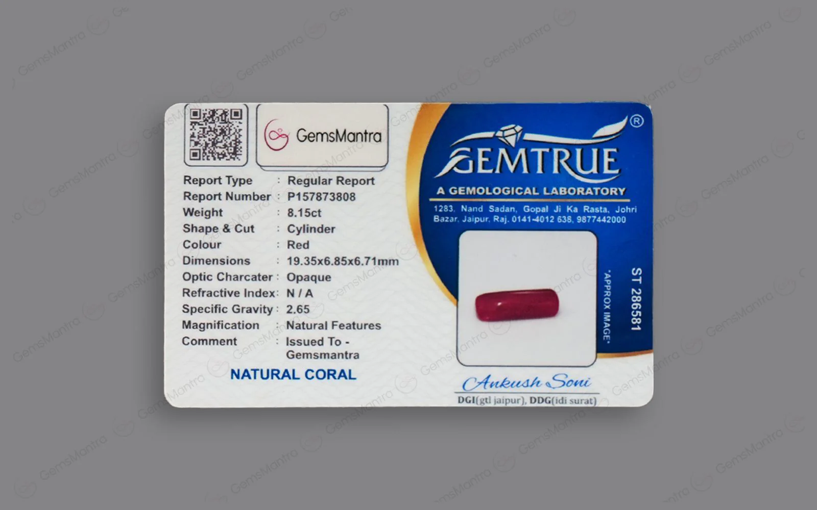 Red Coral - 8.15 Carats - Image 4