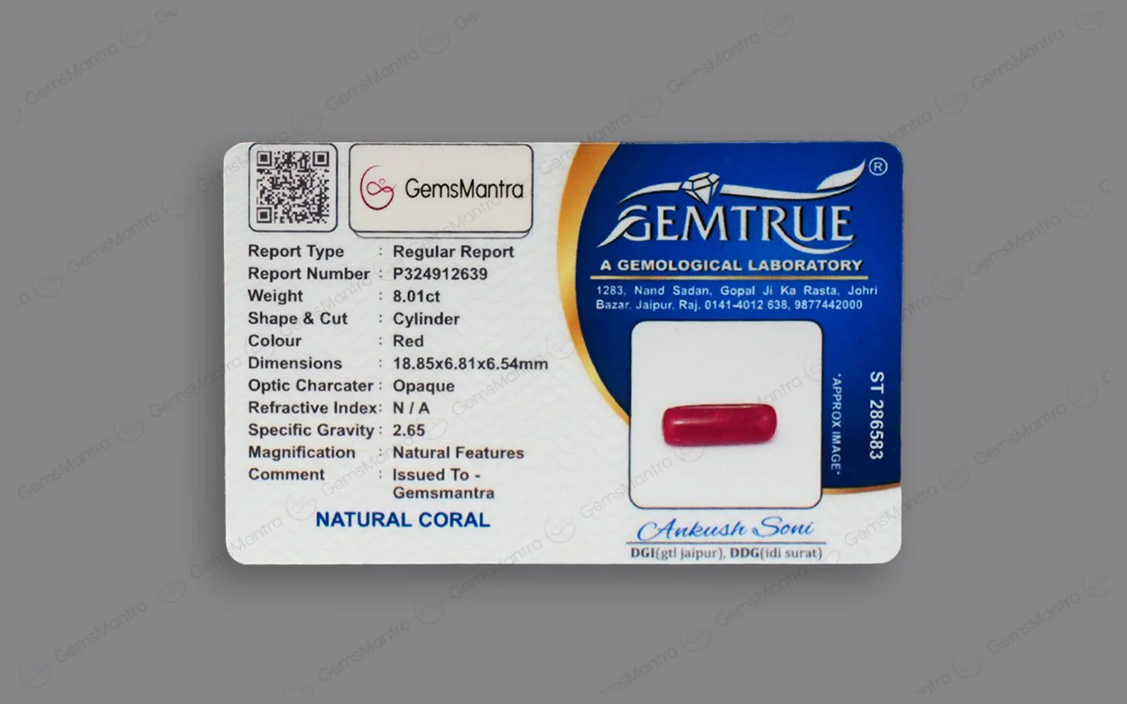 Red Coral - 8.01 Carats - Image 4