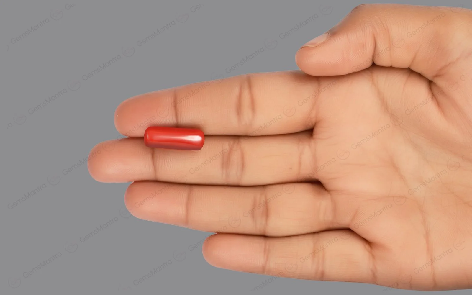 Red Coral - 8.23 Carats - Image 3