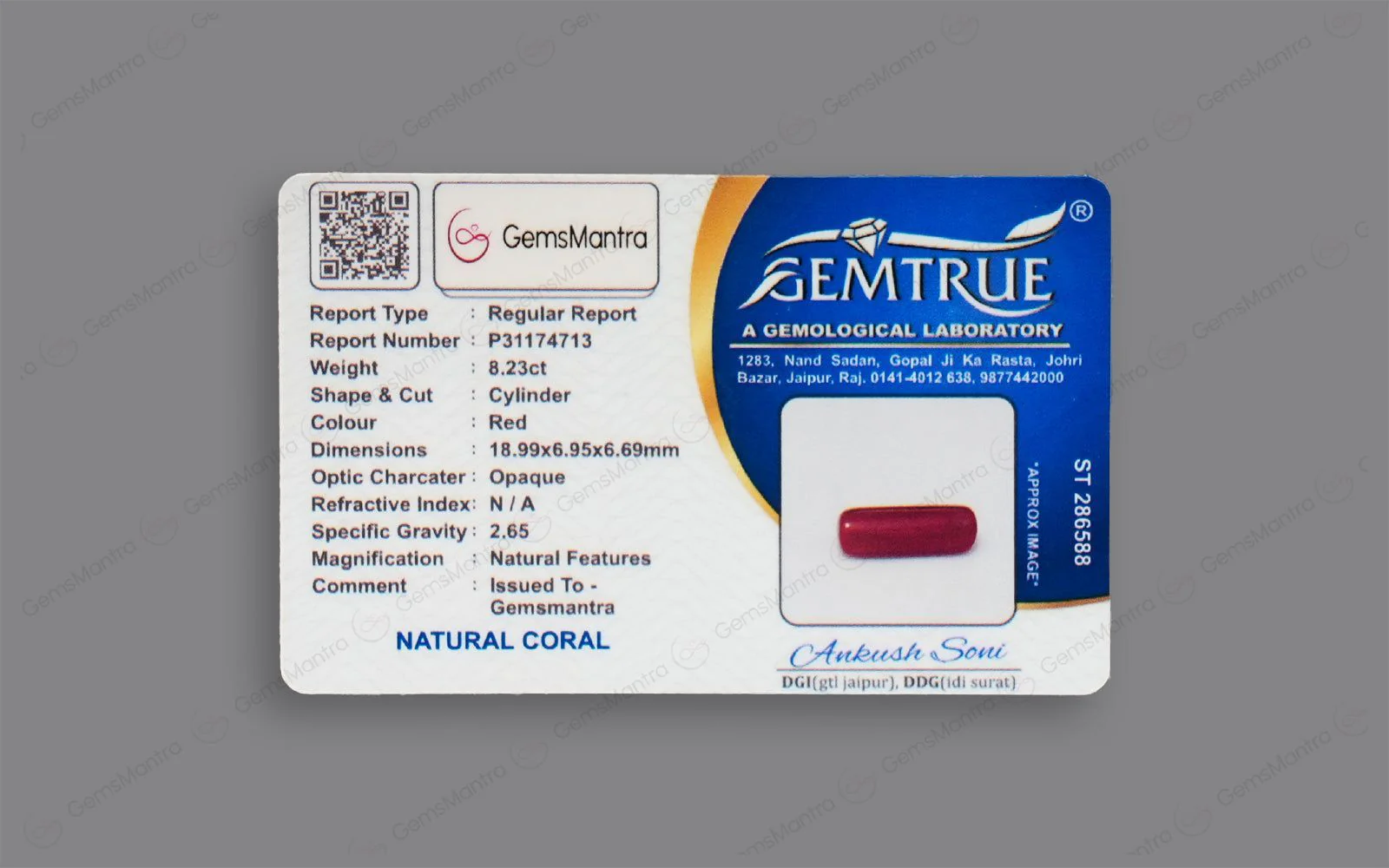 Red Coral - 8.23 Carats - Image 4