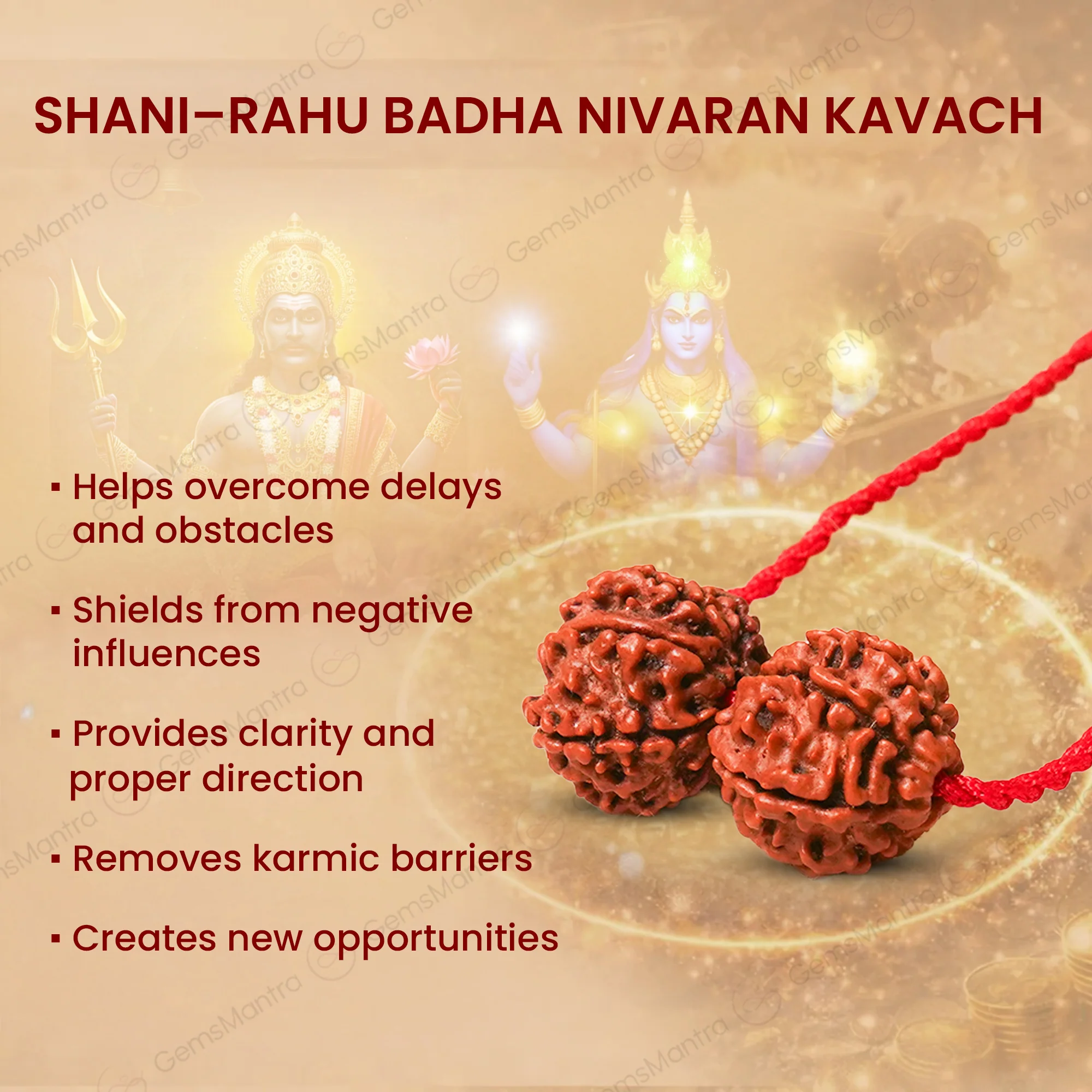 Shani-Rahu Badha Nivaran Kavach - Image 6