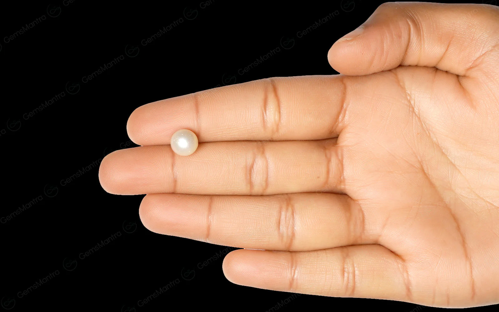 South Sea Pearl - 3.81 Carats - Image 3