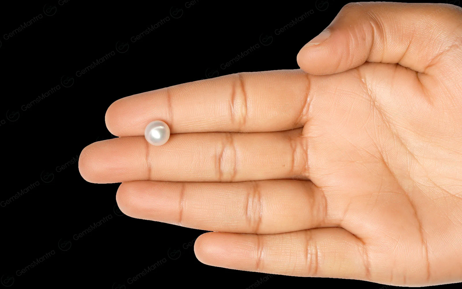 South Sea Pearl - 3.9 Carats - Image 3