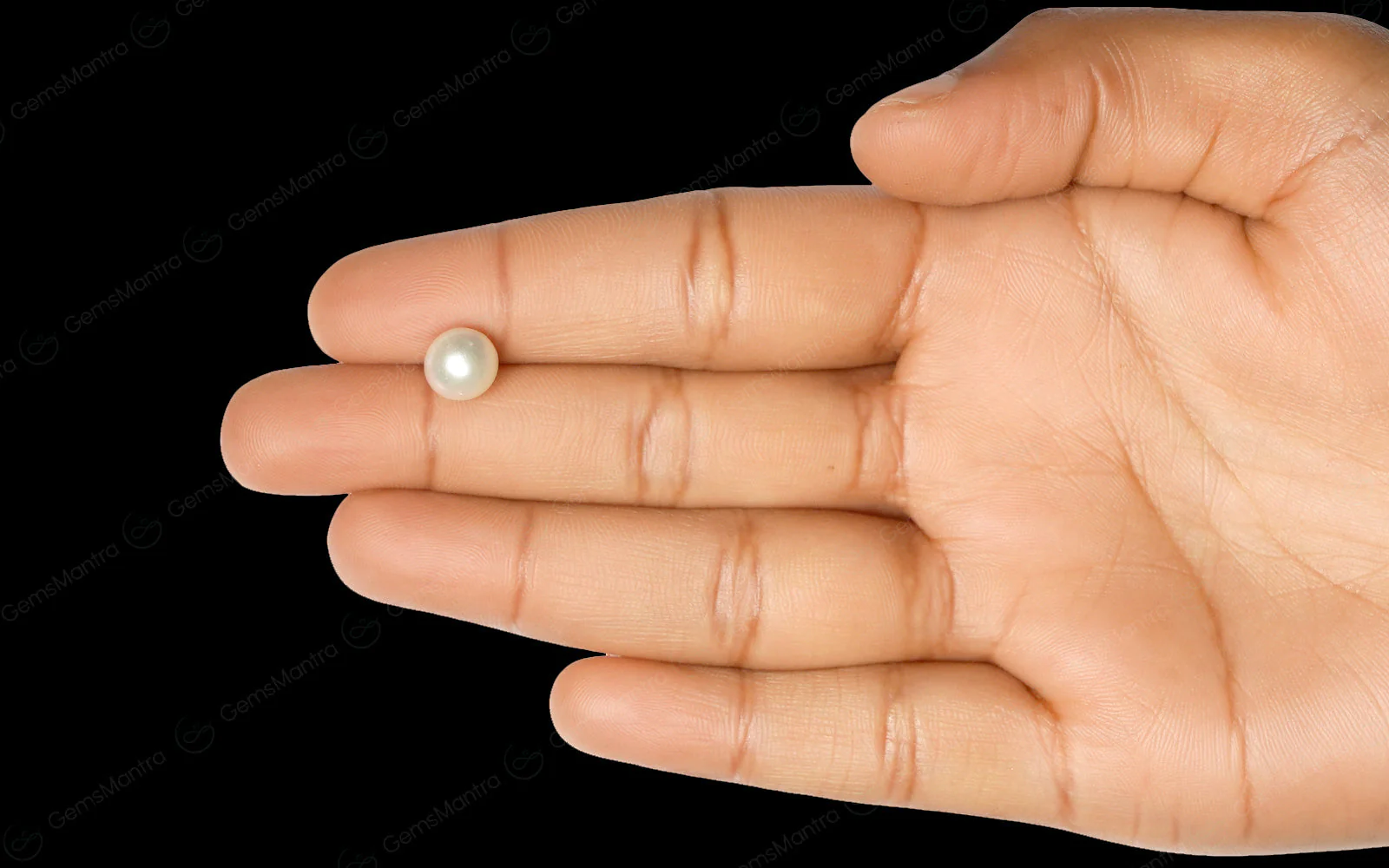 South Sea Pearl - 3.47 Carats - Image 3