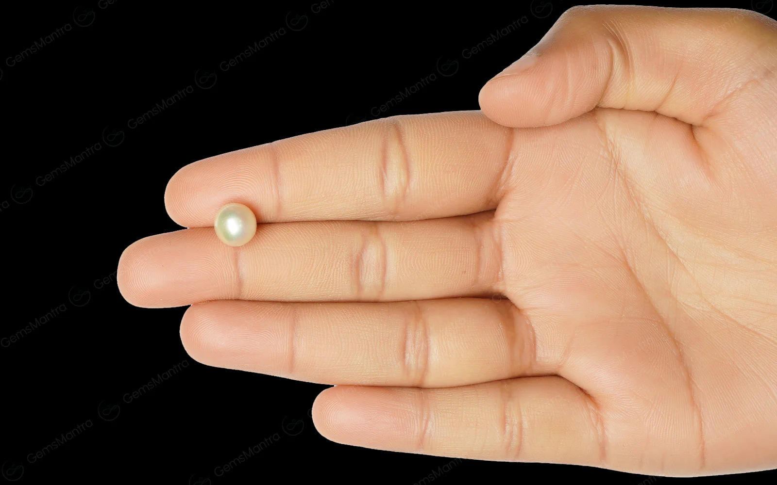 South Sea Pearl - 3.7 Carats - Image 3