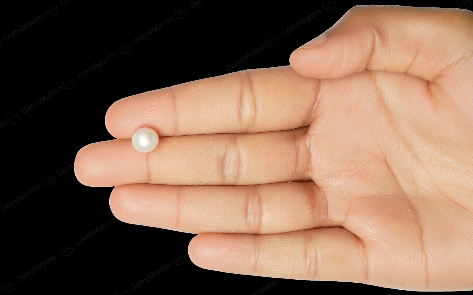South Sea Pearl - 3.66 Carats - Image 3
