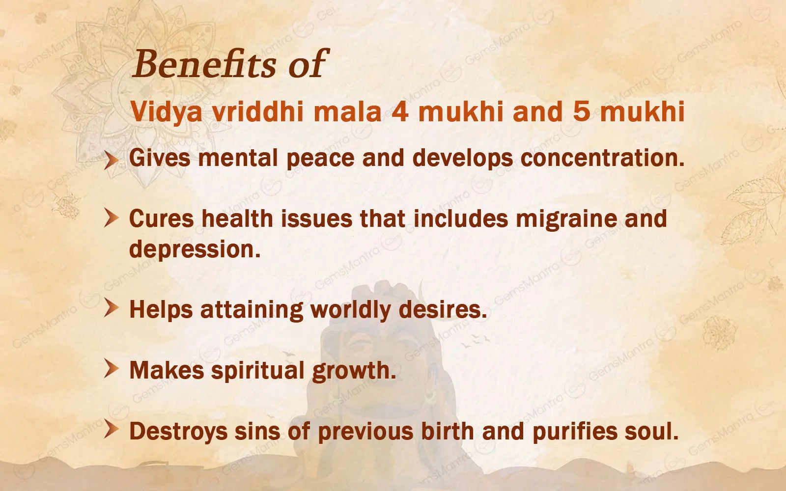 Vidya Vriddhi Mala - 4 Mukhi and 5 Mukhi Rudraksha - Image 4