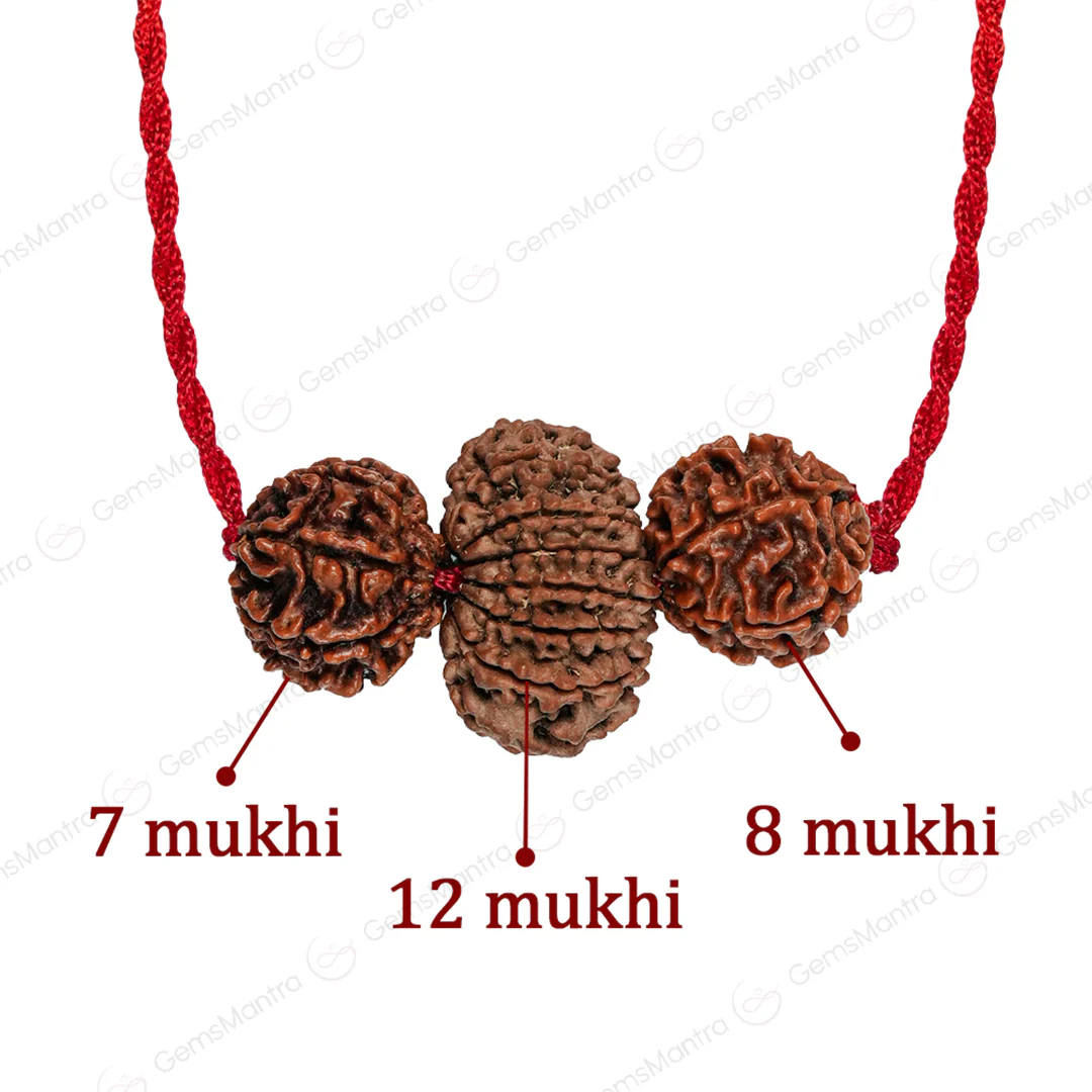 Vyapar Vriddhi Kavach with Free Certification - Image 3